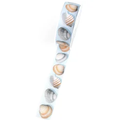 Depot Geschenkbänder>Band Muscheln