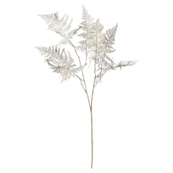 Shop Depot Farnzweig 88Cm, Grun