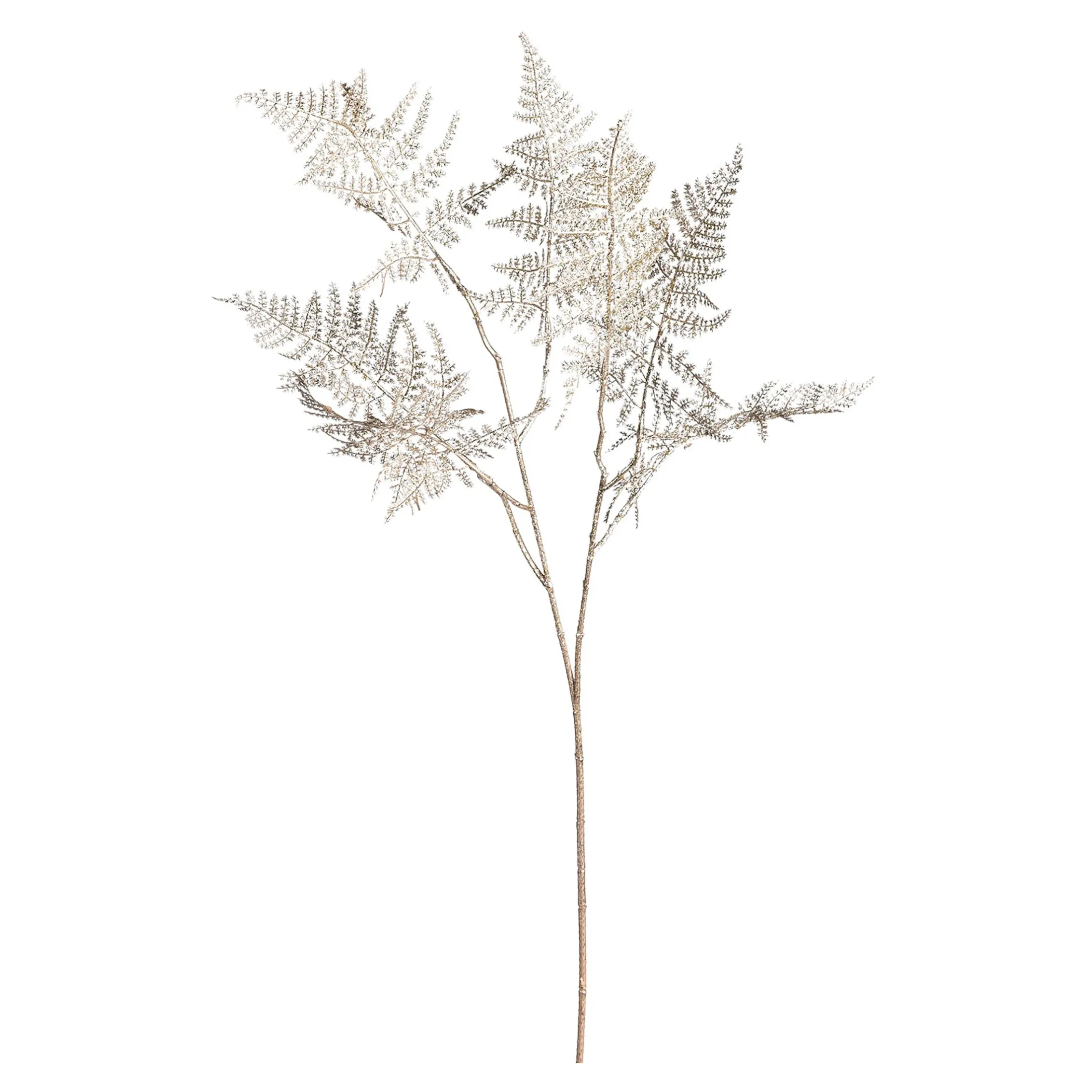 Shop Depot Farnzweig 88Cm, Grun
