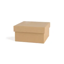 Shop Depot Geschenkbox