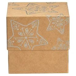 Sale Depot Geschenkbox Xmas Star