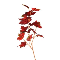 Sale Depot Herbststraus Hagebutte & Ahorn