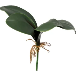 Depot Einzelblumen & Zweige>Kunstblatt Orchidee