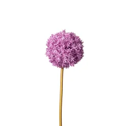 Depot Einzelblumen & Zweige><noscript><img width=