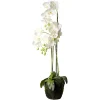 Depot Kunstpflanzen>Kunstblume Orchidee Phalaenopsis In Erde