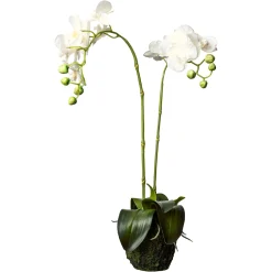Depot Kunstpflanzen>Kunstblume Orchidee Phalaenopsis In Erde