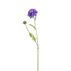 Depot Einzelblumen & Zweige>Kunstblume Scabiosa
