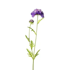 Depot Einzelblumen & Zweige>Kunstblume Scabiosa