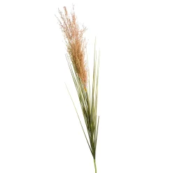 Depot Einzelblumen & Zweige>Kunst-Pampasgras