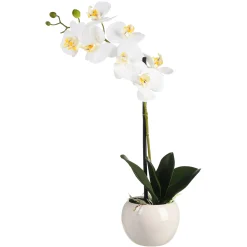 Depot Kunstpflanzen>Kunstpflanze Orchidee Phalaenopsis