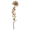 Store Depot Kunst-Stielblume Protea Ca. 67Cm
