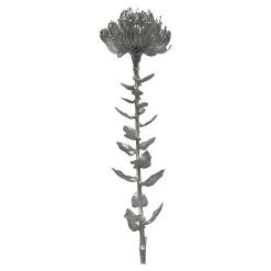 Store Depot Kunst-Stielblume Protea Ca. 67Cm