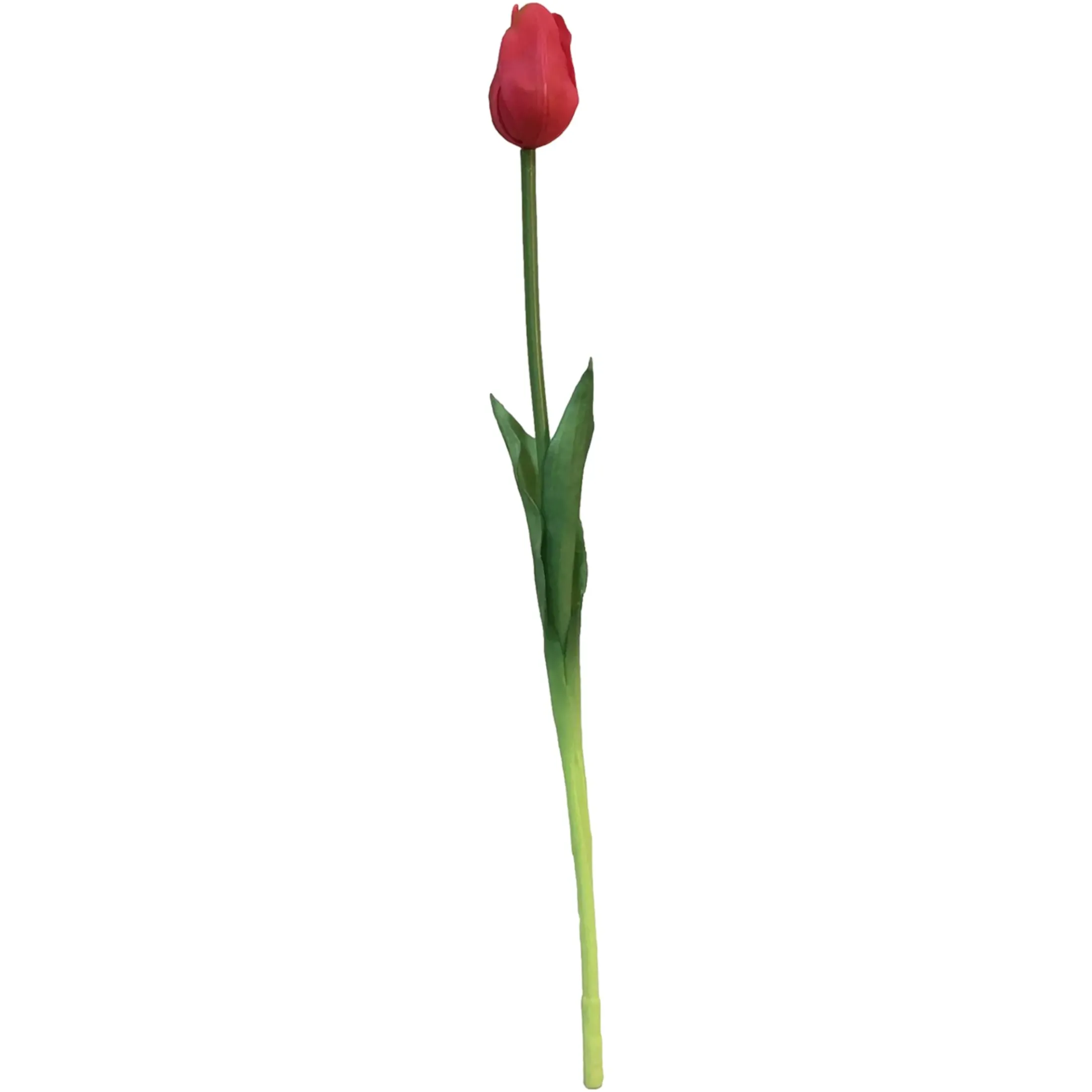 Depot Einzelblumen & Zweige>Kunst-Stielblume Tulpe