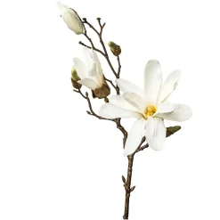 Depot Einzelblumen & Zweige>Kunst-Zweig Magnolie