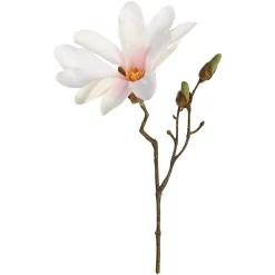 Depot Einzelblumen & Zweige>Kunst-Zweig Magnolie
