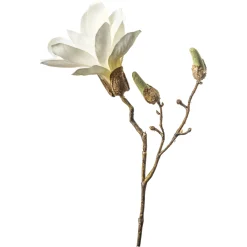 Depot Einzelblumen & Zweige>Kunst-Zweig Magnolie