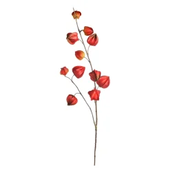Outlet Depot Kunstzweig Physalis
