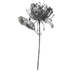 Cheap Depot Metallic-Kunstblume Protea