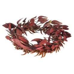 Best Sale Depot Mini-Trockenblumenkranz Ruscus