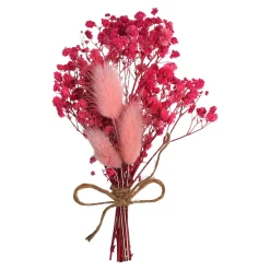 Fashion Depot Mini-Trockenblumenstraus Dried Flowers