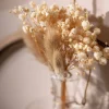 Online Depot Mini-Trockenblumenstraus Dried Flowers