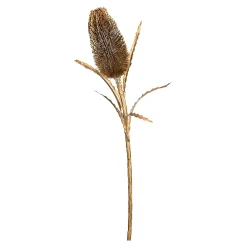 Shop Depot Protea Ca. 70Cm, Silber