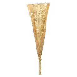 Store Depot Trockenblume Paternostererbse