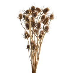 Depot Einzelblumen & Zweige>Trockenblumenbund Distel