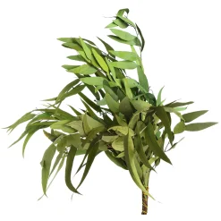 Depot Einzelblumen & Zweige>Trockenblumenbund Eukalyptus