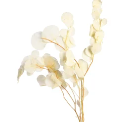 Shop Depot Trockenblumenbund Eukalyptus