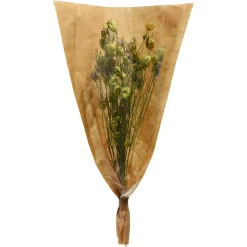Depot Einzelblumen & Zweige>Trockenblumenbund Nigella