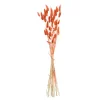 Store Depot Trockenblumenbund Samtgras