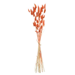 Store Depot Trockenblumenbund Samtgras