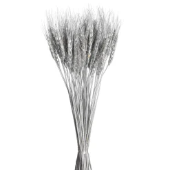 Depot Einzelblumen & Zweige>Trockenblumen-Bundel Ahren
