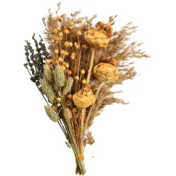 Depot Blumensträuße>Trockenblumenstraus Dried Flowers