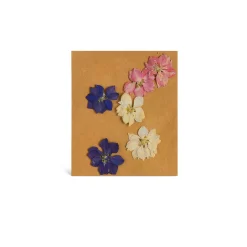 Best Depot Trockenbluten Fruhlingsblumenmix, Gepresst