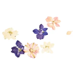 Best Depot Trockenbluten Fruhlingsblumenmix, Gepresst