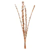 Store Depot Trockenbundel Seaberries