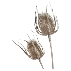 Outlet Depot Zweig Distel Ca. 81Cm