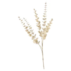 Shop Depot Zweig Eukalyptus Modern Ca.74Cm, Creme