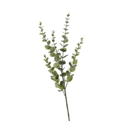 Depot Einzelblumen & Zweige>Zweig Eukalyptus Modern Ca.74Cm, Creme
