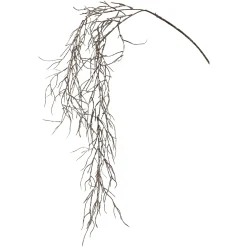 Depot Einzelblumen & Zweige>Zweig Tillandsie Hangend Ca. 104Cm